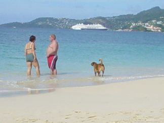 Couple with dog on Grand Anse beach, the most popular of all Grenada beaches