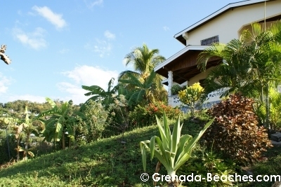 Olga's Grenada Bed & Breakfast garden