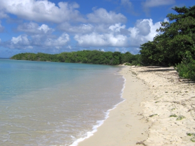 Paradise Beach Carriacou